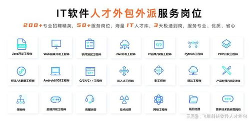 軟件人力外包 提升企業(yè)效率的戰(zhàn)略選擇